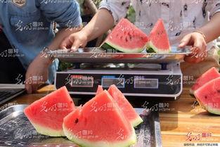 山东聊城最新吃瓜事件新闻,揭秘背后真相与争议