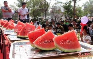 山东聊城最新吃瓜事件新闻,揭秘背后真相与争议