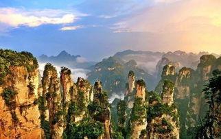 张家界女子吃瓜事件真相,真相揭秘与网络舆论反思