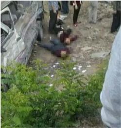 任县吃瓜事件四中,揭秘网络谣言背后的真相