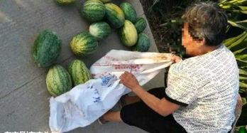 最近武都吃瓜事件真相是真的吗,真相揭秘，还原事件始末