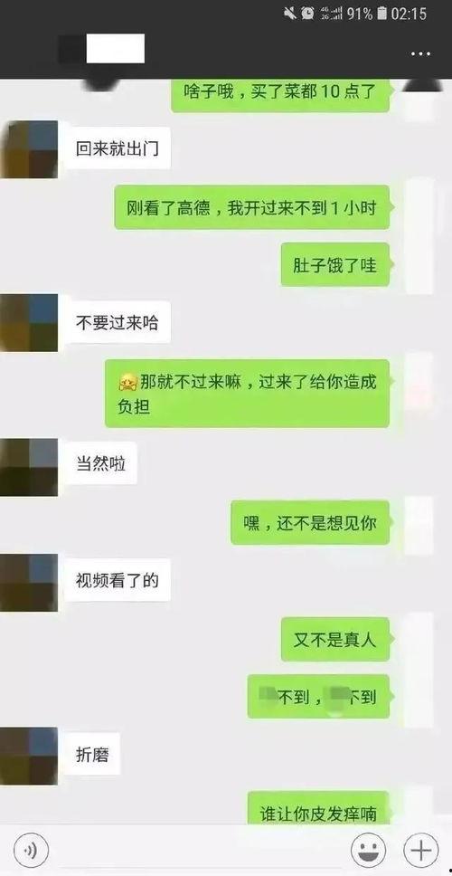 河北曲周吃瓜事件聊天记录,网络聊天记录揭示的社区冲突与舆论漩涡
