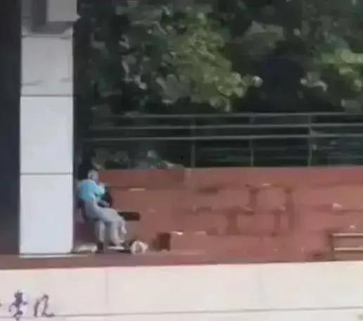 西安最新吃瓜事件视频,视频揭秘惊人真相