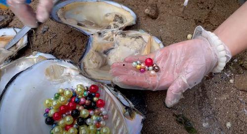 郑州吃瓜事件女生珍珠,女生珍珠的意外走红与网络舆论风暴