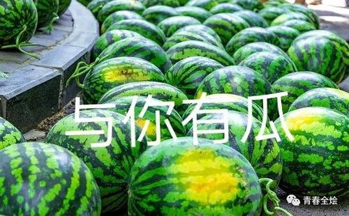 陕西理工吃瓜事件后续,真相发酵，校园舆论再掀波澜