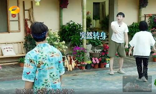 单县吃瓜事件真相最新,真相与反思