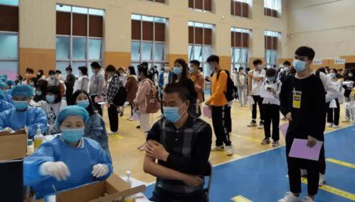 邹平吃瓜事件最新消息,最新进展揭秘,真相逐渐浮出水面