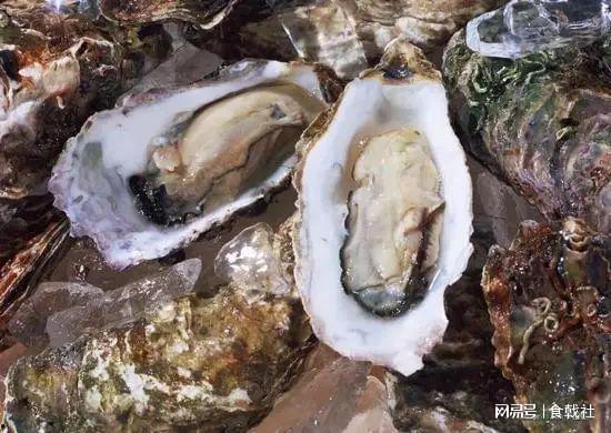 荣成吃瓜事件真相曝光图片,图片揭示惊人内幕