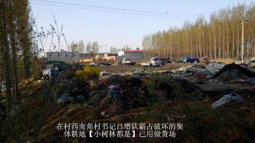 安新县安州镇吃瓜事件始末