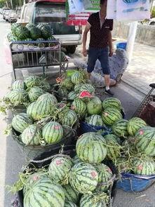 咸阳吃瓜事件真相揭秘图片,真相大白,还原背后惊人内幕