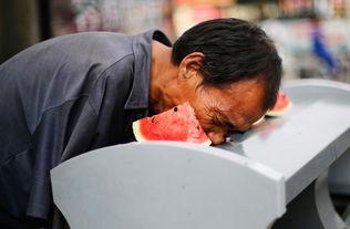 郑州财经吃瓜事件情侣