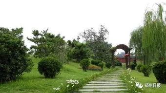 郑州人民公园吃瓜事件,一场引发热议的公共行为争议