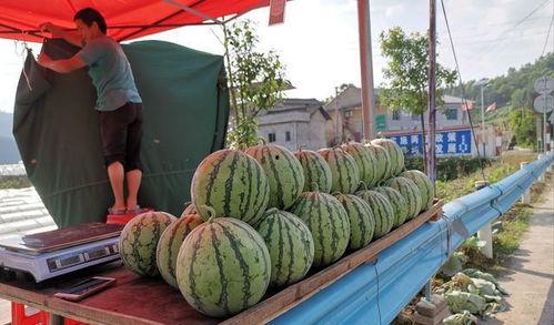 安海网红吃瓜事件真相,真相背后的网络狂欢与反思