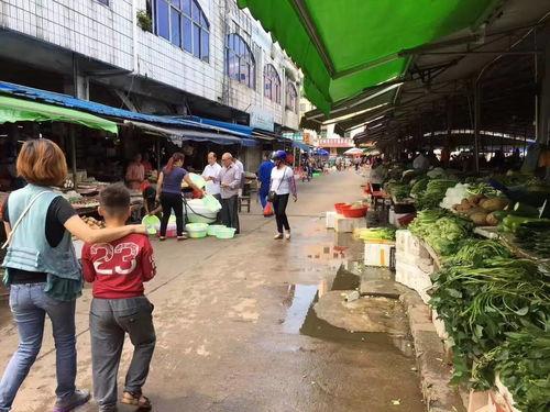 钦州灵山吃瓜事件真相揭秘,真相大白,还原事件始末