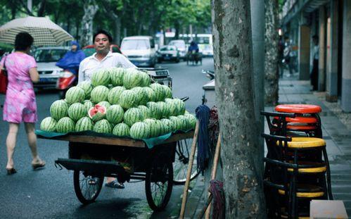 上海公园吃瓜事件,一场引发热议的公共道德风波